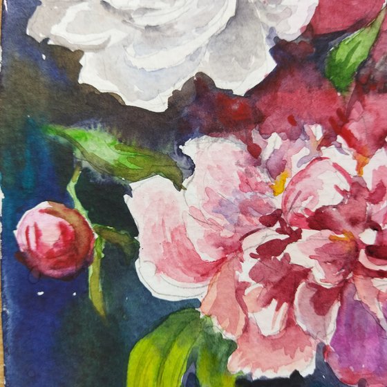 Peonies flowers