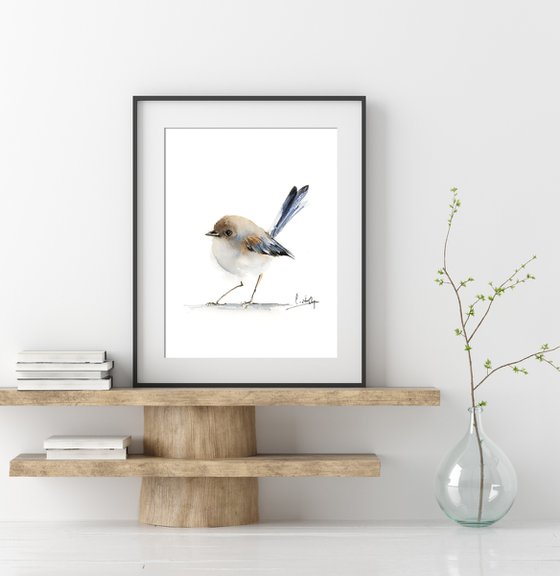 Fairy Wren Bird