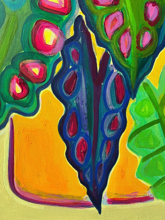 Alocasia Study IV