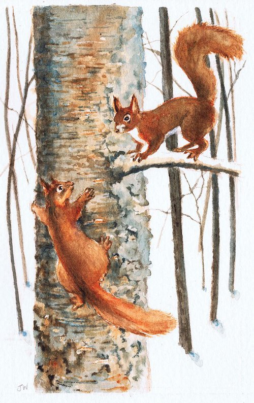 Squirrels by Julia Wakefield