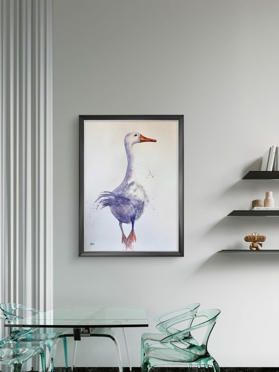White long neck Curious duck