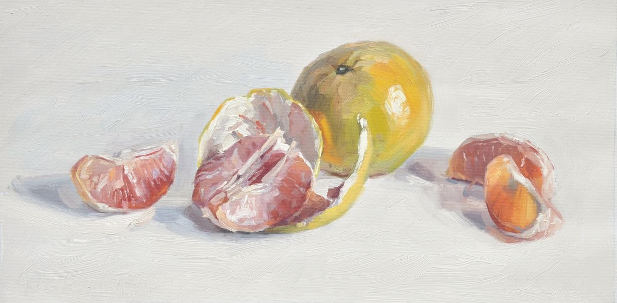 Grapefruit by ANNE BAUDEQUIN
