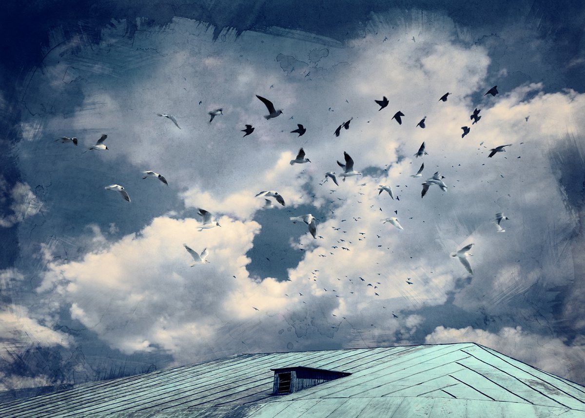 Flight over the roof. by Valerix