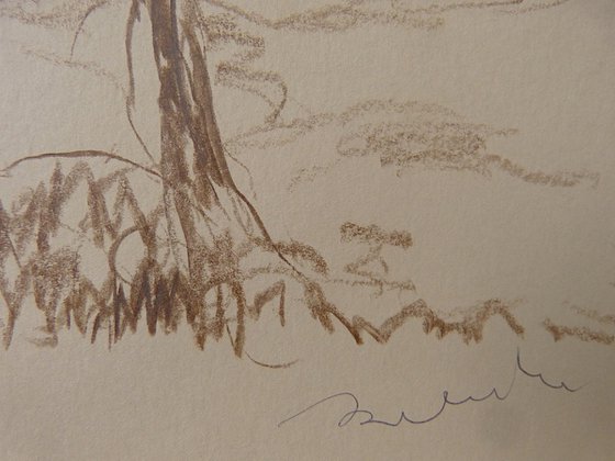 The Tree Monster
