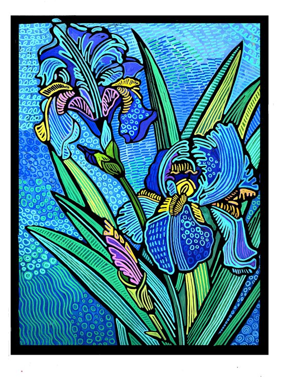 Iris