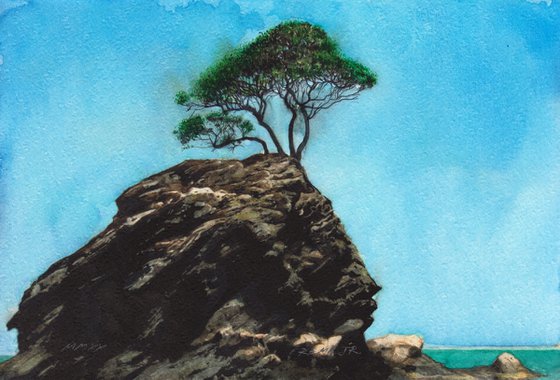 Tree on Greek Rock Island