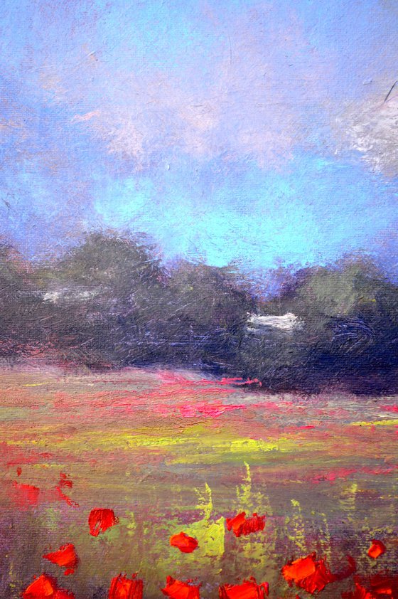 Landscape with poppy field