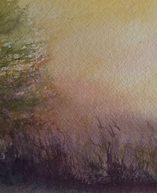 Relaxing walk by Samantha Adams