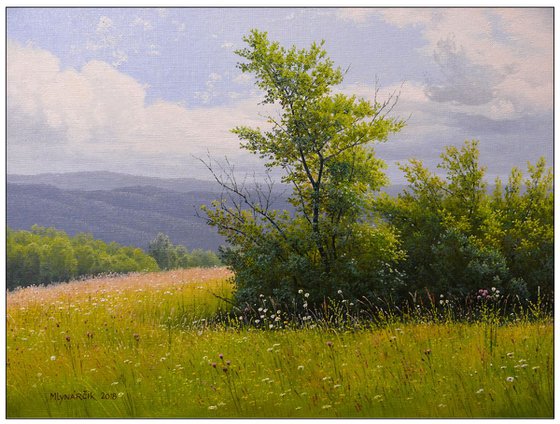 Summer meadow