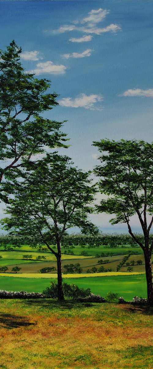 Cheshire plains  100cm x 100cm by Hazel Thomson