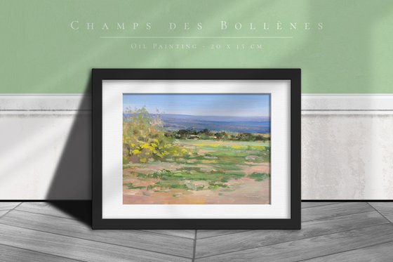 Champs des Bollènes