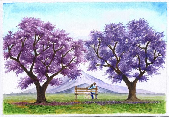 Under the blooming Jacarandas