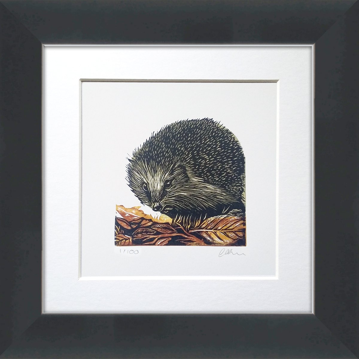 Hedgehog - linocut print framed and ready to hang by Carolynne Coulson