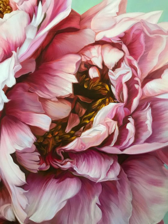 Pair of peonies