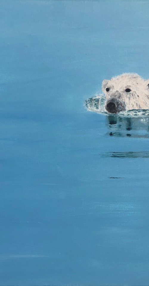 Polar bear by Monika Harmund Csanyi