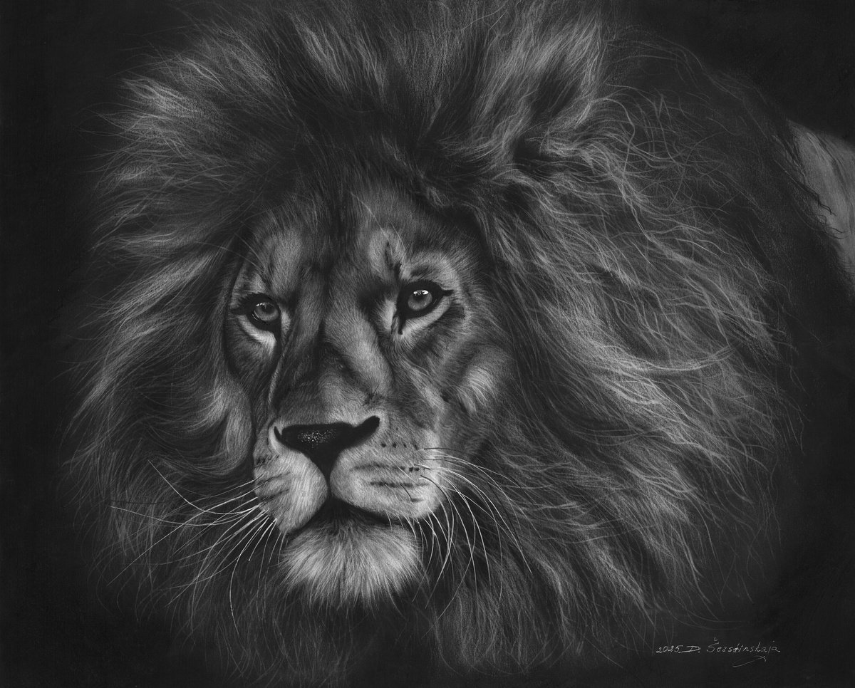 Photorealistic Animal Oil Painting By Danguole Serstinskaja, 20 X 16, A Royal Gaze, Original Artwork