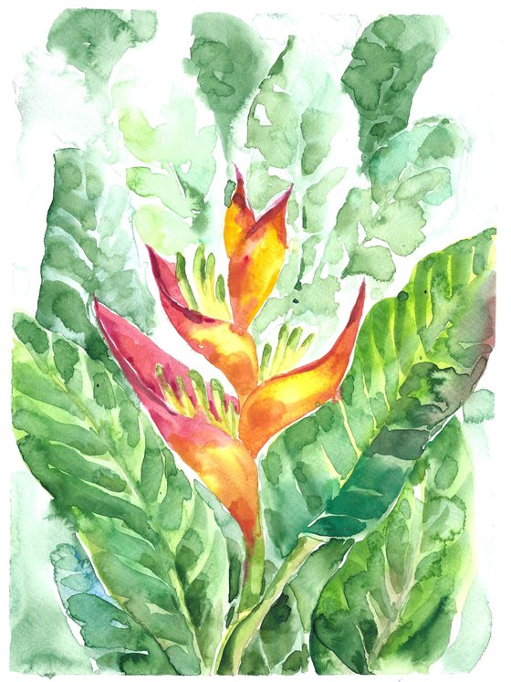 Heliconia flower watercolor set of 2