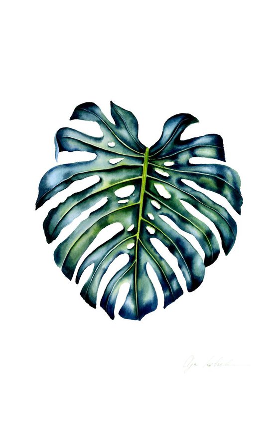 Emerald Monstera