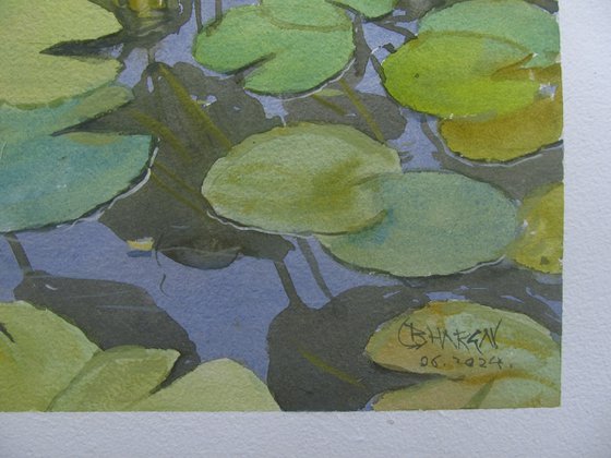 Lotus pond 2