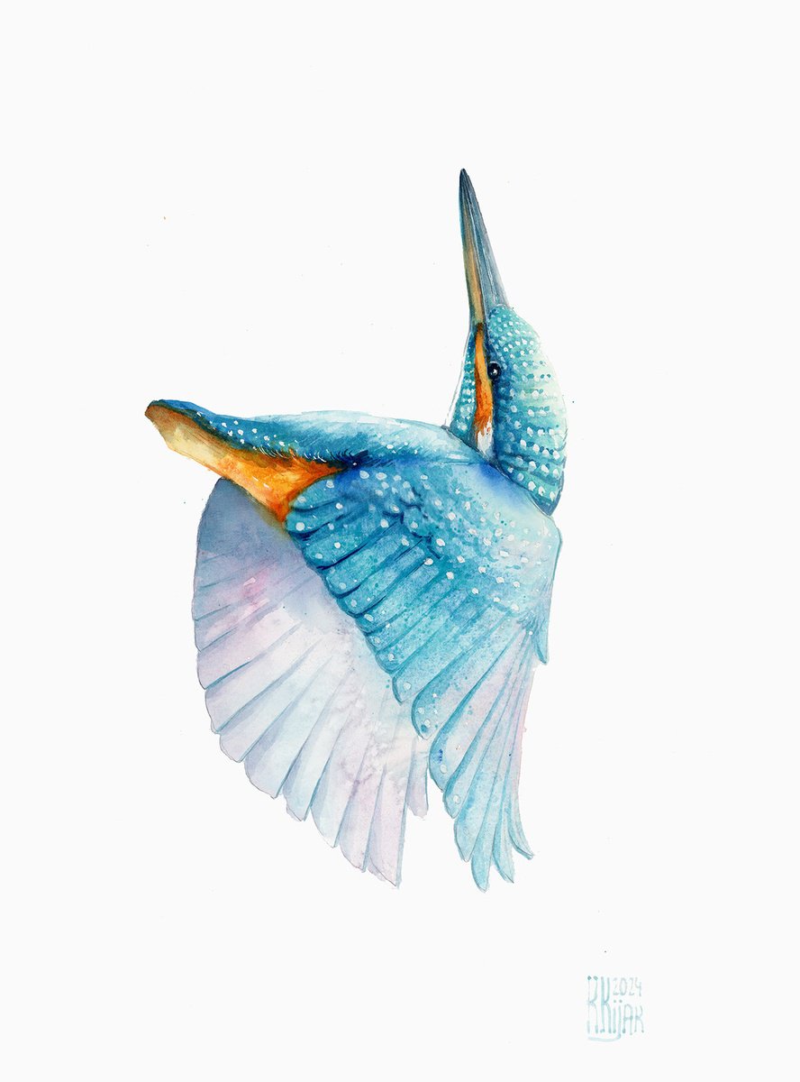 Kingfisher flying by Karolina Kijak