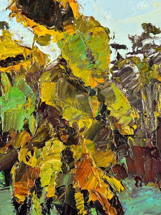Sunflowers Bowed Down