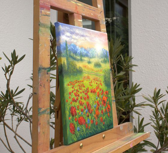 Poppy field in summer