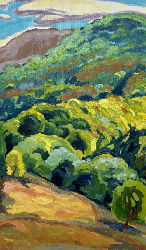 “Sunny day” by Raffi Ghazaryan