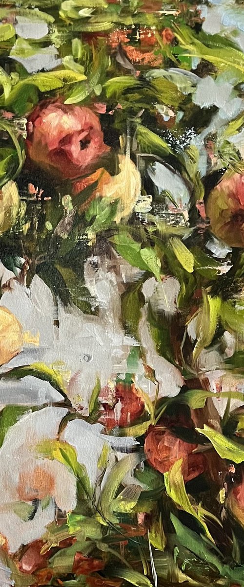 BRIGHT APPLES by Elena Mashajeva-Agraphiotis