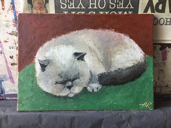 Caught Napping. Cats,Animals,Portrait, Oil,Pastel.