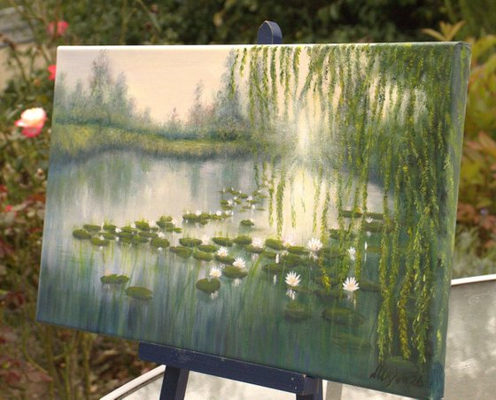 Lily pond