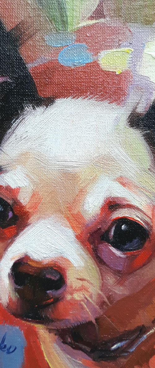 Lovely dog by Nataly Derevyanko