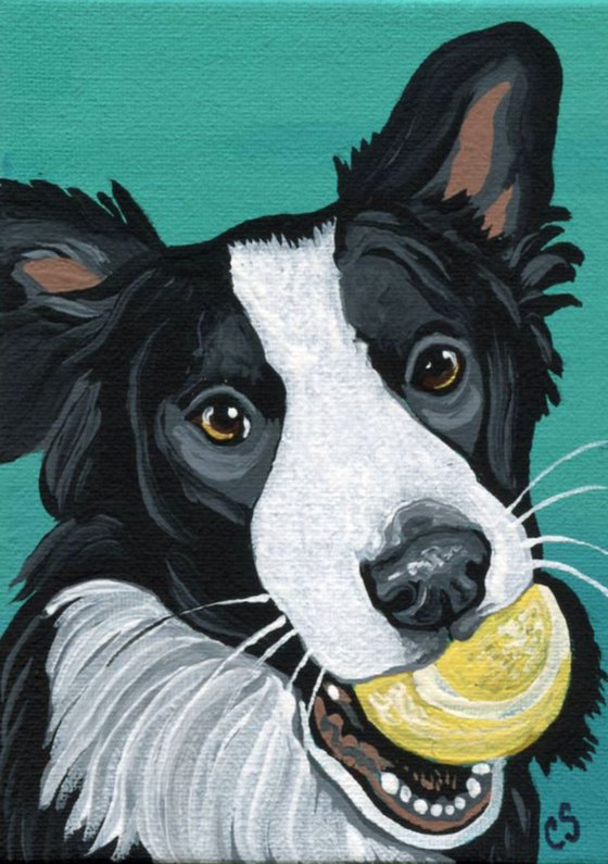 ACEO ATC Original Painting Border Collie-Play Ball- Pet Dog Art-Carla Smale