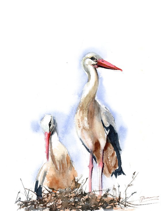 White Stork Nest - watercolor painting