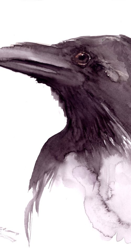 Raven portrait by Suren Nersisyan