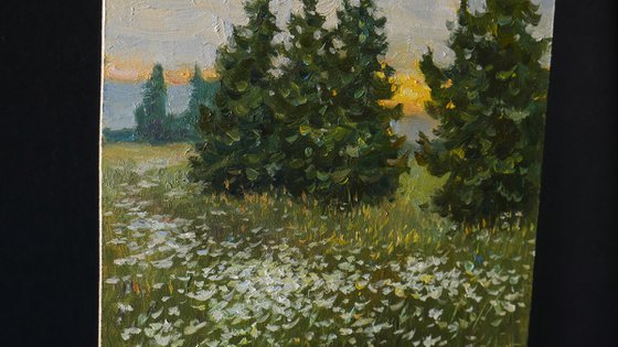 Evening Wildflowers - summer sunny landscape, painting