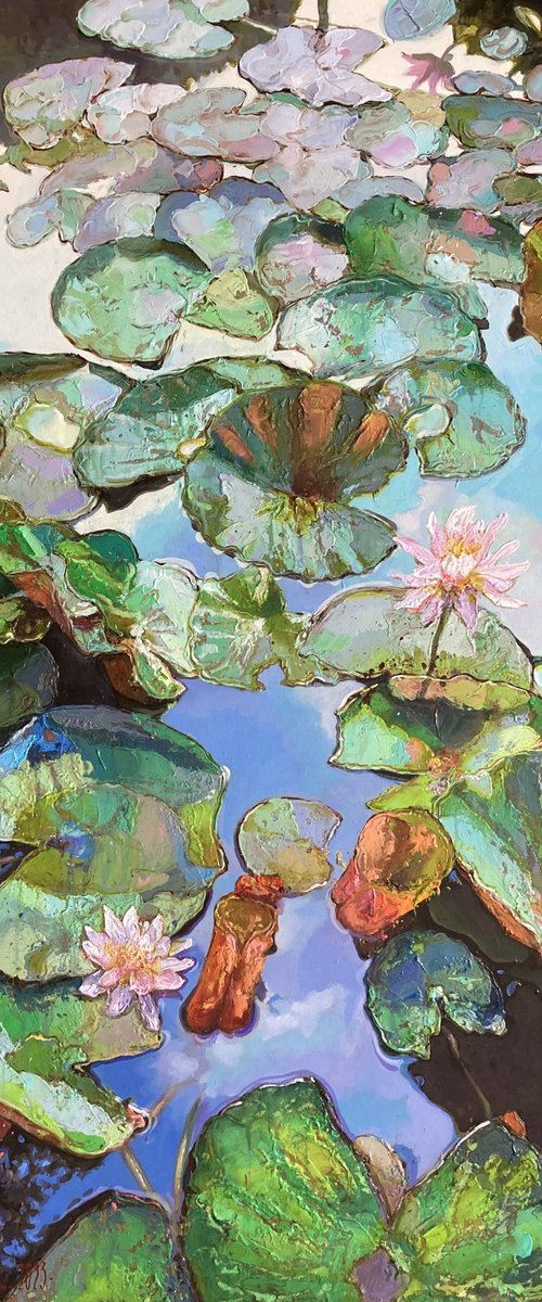 Water Lilies by Andriy Vutyanov