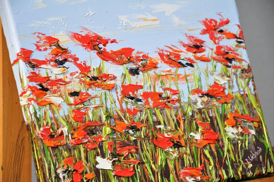 A Meadow Full Of Poppies 4