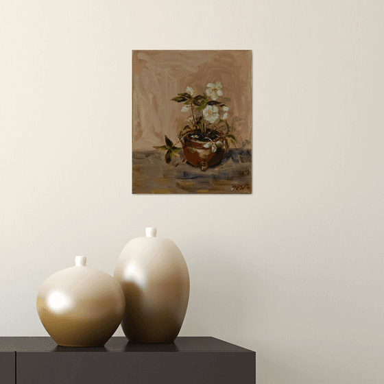 HELLEBORE