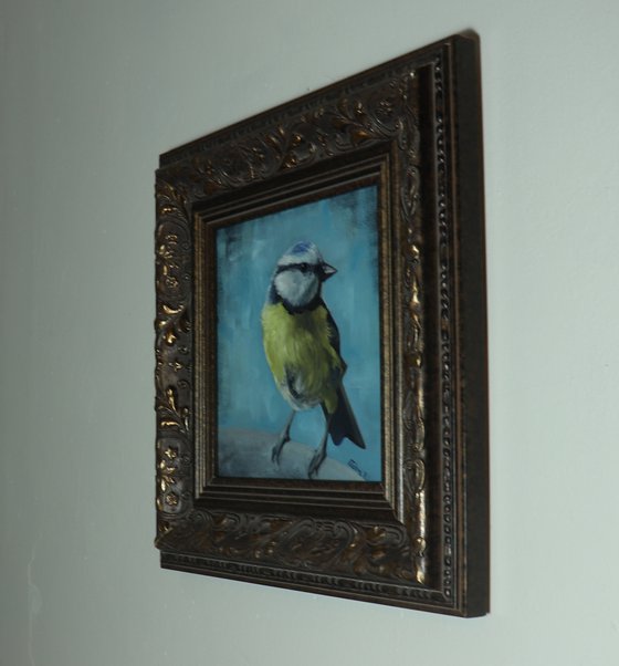 Lockdown's Morning Chorus Series - Blue Tit Triptych , Three Paintings Framed and Ready to Hang