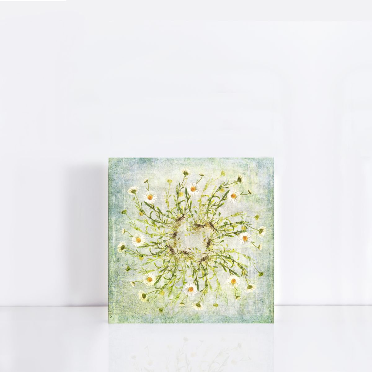 daisy chain by Jennifer Bell