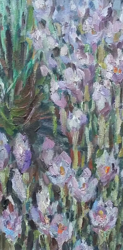 Crocus by Elena Klyan