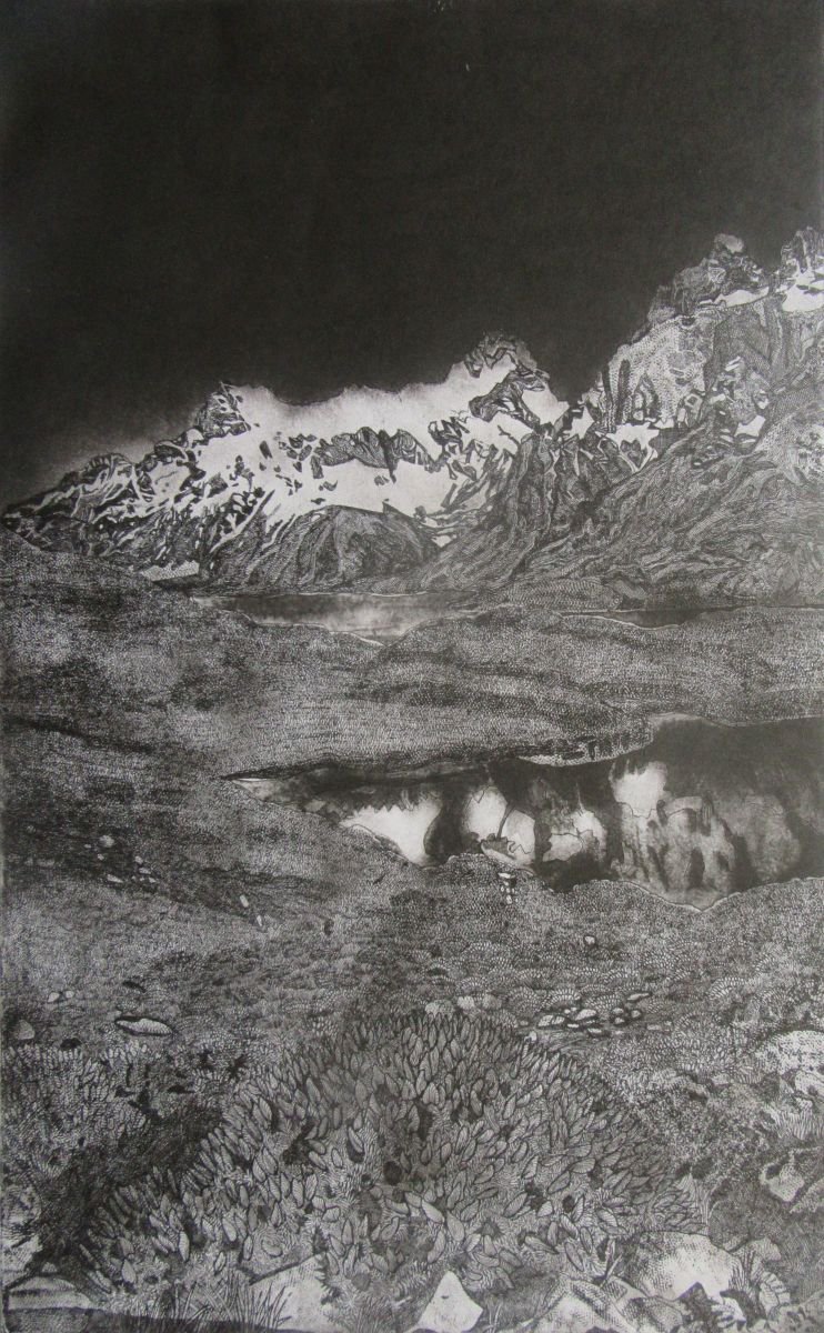 The Fire Bush, Torres Del Paine National Park, South America (Monochrome) by Francesca Learmount at Cicca-Art