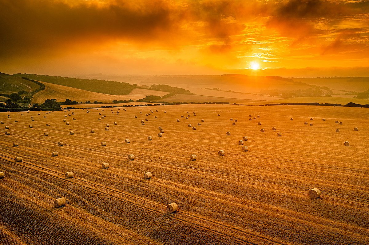 Sunset Over a Field of Hay Bales Print by Chad Powell
