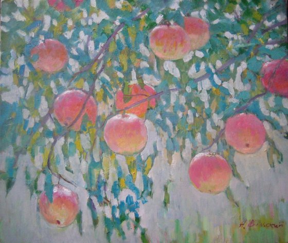 Apples