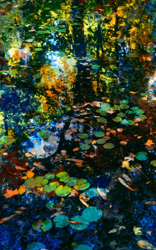 The breath of autumn II by Viet Ha Tran