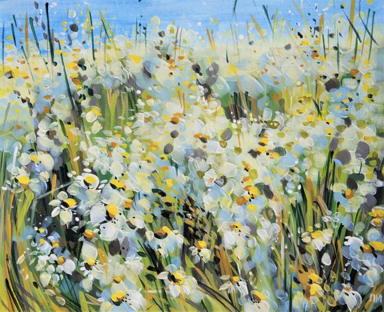 Daisies field and smell of summer