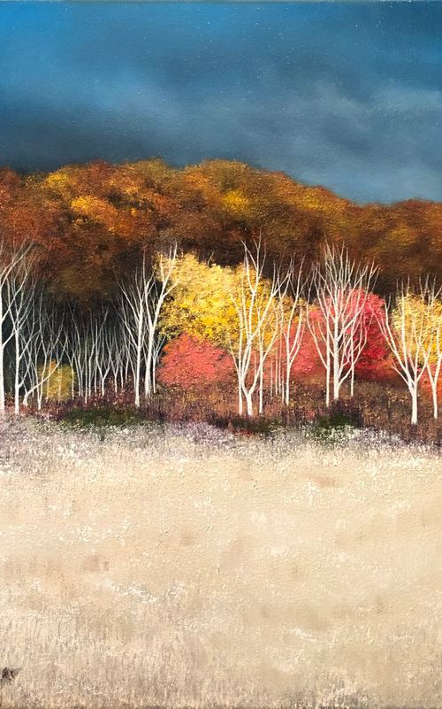 Illuminate by Faith Patterson