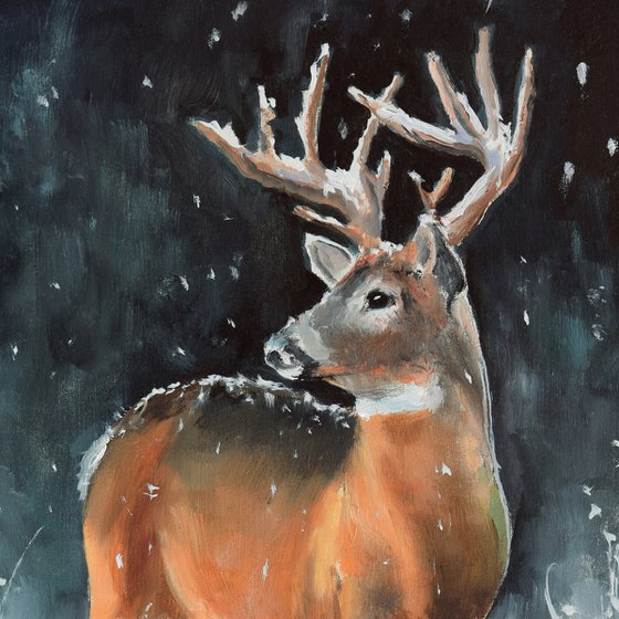 Male buck deer in snowy scene