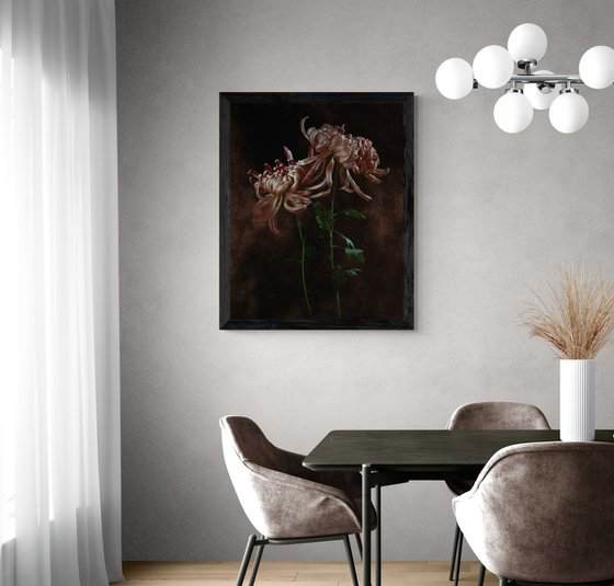 Vienna Copper Chrysanthemums