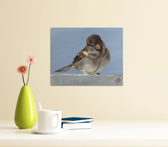 Curious Sparrow